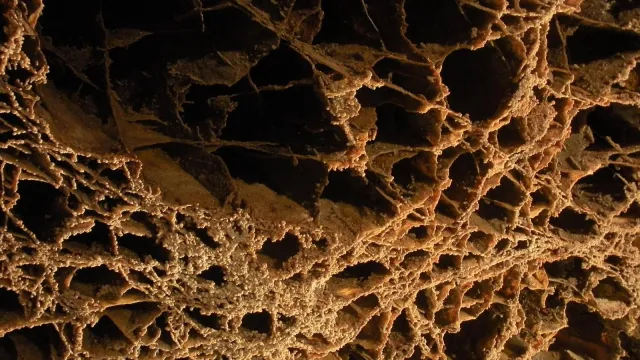 Thin fins of calcite forming box-shaped openings, called boxwork, on a cave ceiling.
