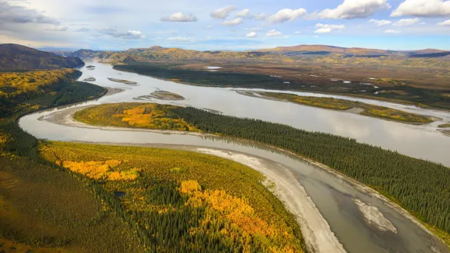 Aerial view of the Yukon River during fall colors
